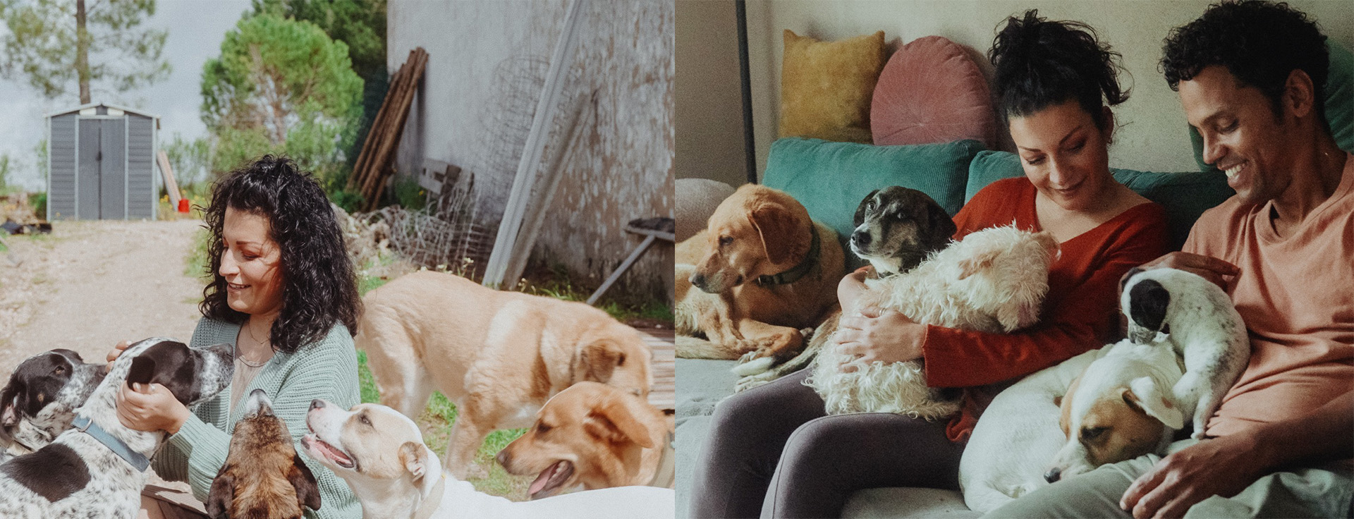 Lebenshof in Portugal