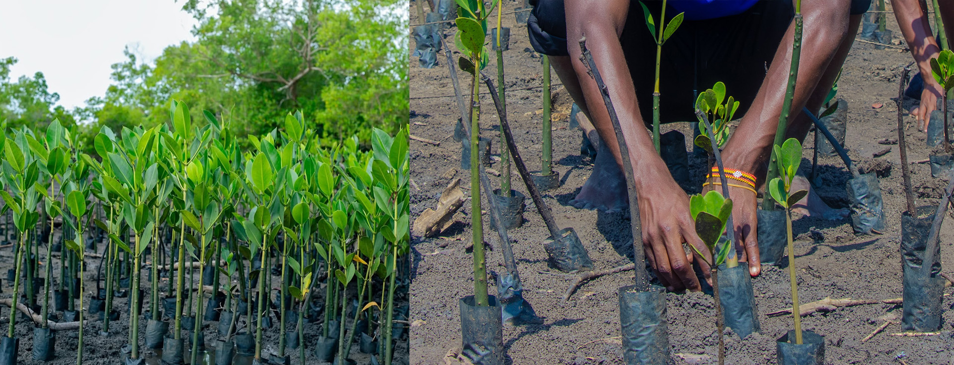 Küstenhelden für unsere Zukunft